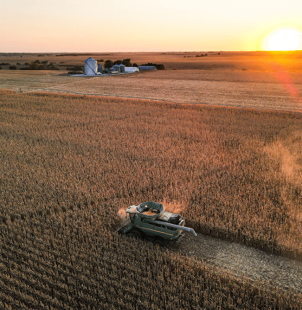 Fields of crops being plowed at sunset.