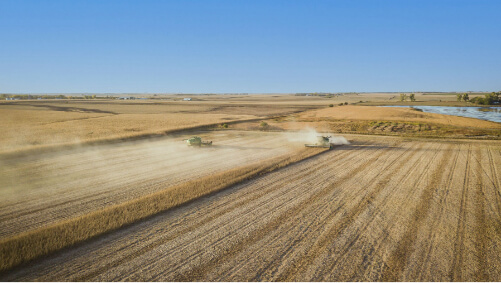 Agricultural field in Nebraska.
